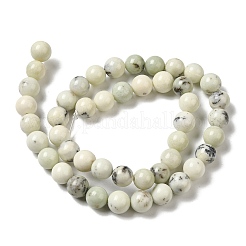 Natural Dendritic Jasper Beads Strands&nbsp;G-H298-A15-03