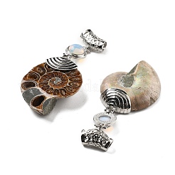 Synthetic Opalite Fossil Snail Pendants&nbsp;G-F062-07