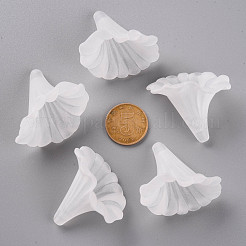 Transparent Acrylic Beads&nbsp;BSF796