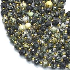 Natural African Turquoise(Jasper) Beads Strands&nbsp;G-K389-E71-01