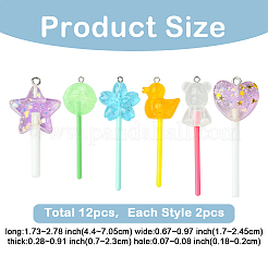 12Pcs 6 Styles Resin Pendants&nbsp;RESI-YW0005-16