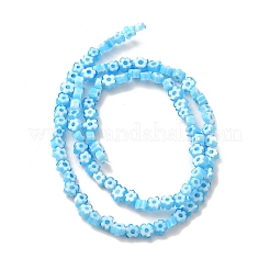 Handmade Lampwork Beads Strands&nbsp;LAMP-A067-01