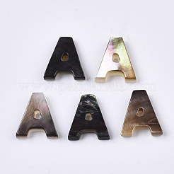 Natural Black Lip Shell Beads&nbsp;SSHEL-S265-001-M