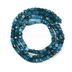 Natural Apatite Beads Strands&nbsp;G-P553-E03-02