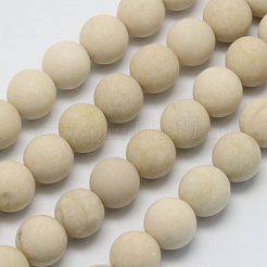 Natural Fossil Beads Strands&nbsp;X-G-D694-4mm