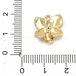 Brass Micro Pave Clear Cubic Zirconia Charms&nbsp;KK-CBA74BF-05G-01A
