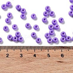 Baking Paint Glass Seed Beads&nbsp;SEED-H002-I-A505