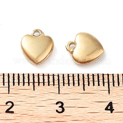 304 Stainless Steel Charms&nbsp;STAS-L022-377G