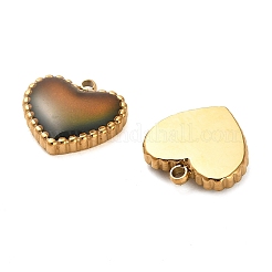 304 Stainless Steel Enamel Charms&nbsp;STAS-L022-094G