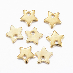 304 Stainless Steel Charms&nbsp;STAS-H557-25G