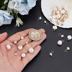 40Pcs 4 Styles Natural Cultured Freshwater Pearl Rice Charms&nbsp;PALLOY-GA00038