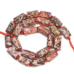 Natural Red Leopard Skin Jasper Beads Strands&nbsp;G-A314-A05-01