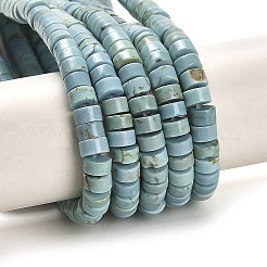Natural Turquoise Beads Strands&nbsp;X-G-M422-C01-01