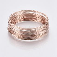 Steel Memory Wire&nbsp;TWIR-R006-0.6x60-RG-NF