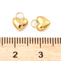 304 Stainless Steel Charms&nbsp;X-STAS-A089-29G