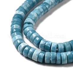 Natural Gemstone Beads Strands&nbsp;G-F730-03B