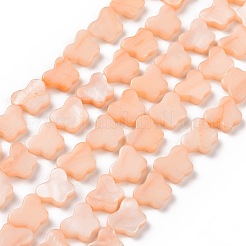 Natural Freshwater Shell Beads Strands&nbsp;SHEL-H002-02