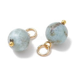 Natural Larimar Pendants&nbsp;PALLOY-JF05255
