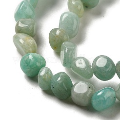 Natural Amazonite Beads Strands&nbsp;G-D081-A06