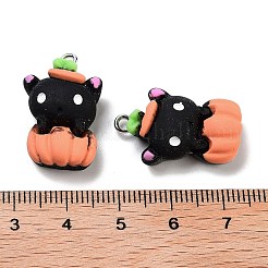 Halloween Theme Opaque Resin Pendants&nbsp;RESI-N039-91