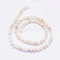 Natural Stripe Agate Beads Strands&nbsp;G-F425-19