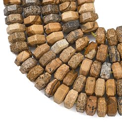 Natural Picture Jasper Beads Strands&nbsp;G-L654-I07-01