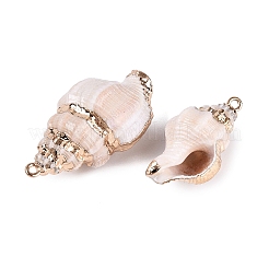 Electroplated Golden Brass Trim Natural Spiral Shell Pendants&nbsp;SSHEL-N042-37