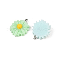 10Pcs Opaque Resin Pendants&nbsp;RESI-L051-01P