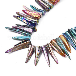 Electroplated Natural Freshwater Shell Beads&nbsp;SHEL-N026-197