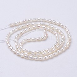 Natural Cultured Freshwater Pearl Beads Strands&nbsp;PEAR-P002-45-01