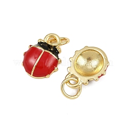 Brass Enamel Charms&nbsp;KK-L241-09G