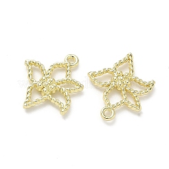 Alloy Pendants&nbsp;FIND-Z108-05LG