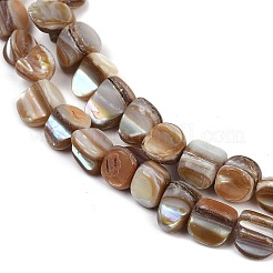 Natural Trochus Shell Beads Strands&nbsp;BSHE-Q050-01B