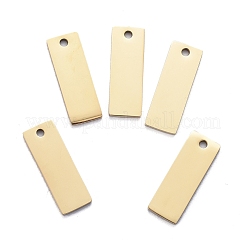 Ion Plating(IP) 304 Stainless Steel Pendants&nbsp;STAS-I140-22B-A