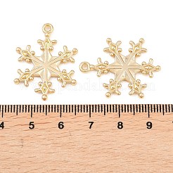 Alloy Pendants&nbsp;FIND-B059-05G-02