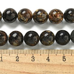 Natural Phlogopite Beads Strands&nbsp;G-P546-A01-04