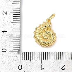 Brass Charms&nbsp;KK-U058-56G
