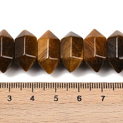 Natural Tiger Eye Double Terminated Point Beads Strands&nbsp;G-T142-91