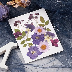 Pressed Dried Flowers&nbsp;DIY-YWC0001-102