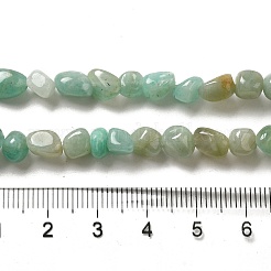 Natural Amazonite Beads Strands&nbsp;G-D081-A06