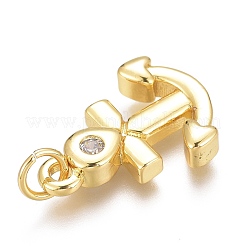 Brass Micro Pave Clear Cubic Zirconia Charms&nbsp;ZIRC-O035-18G