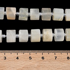 Natural White Moonstone Beads Strands&nbsp;G-C270-I09-01