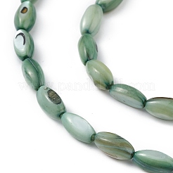 Natural Freshwater Shell Dyed Beads Strands&nbsp;SHEL-M018-13-11