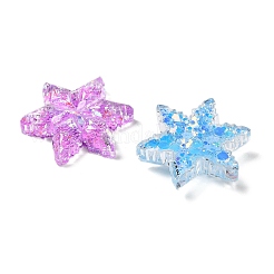 Transparent Resin Cabochons&nbsp;CRES-I044-05A