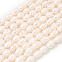 Natural Cultured Freshwater Pearl Beads Strands&nbsp;PEAR-F020-05C