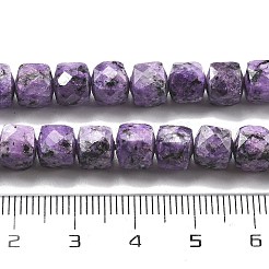 Dyed Natural Sesame Jasper Imitation Charoite Beads Strands&nbsp;G-C179-B01-01