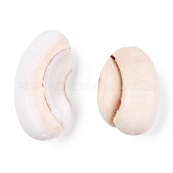 Natural Shell Beads&nbsp;X1-BSHE-TAC0003-03