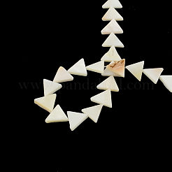 Triangle Natural Sea Shell Beads Strands&nbsp;SSHEL-F290-11