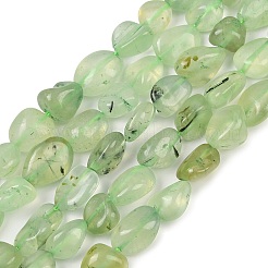 Natural Prehnite Beads Strands&nbsp;G-R445-8x10-25-01