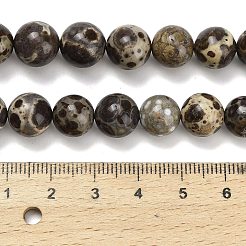 Natural Astroite Jasper Beads Strands&nbsp;G-F814-A01-10mm